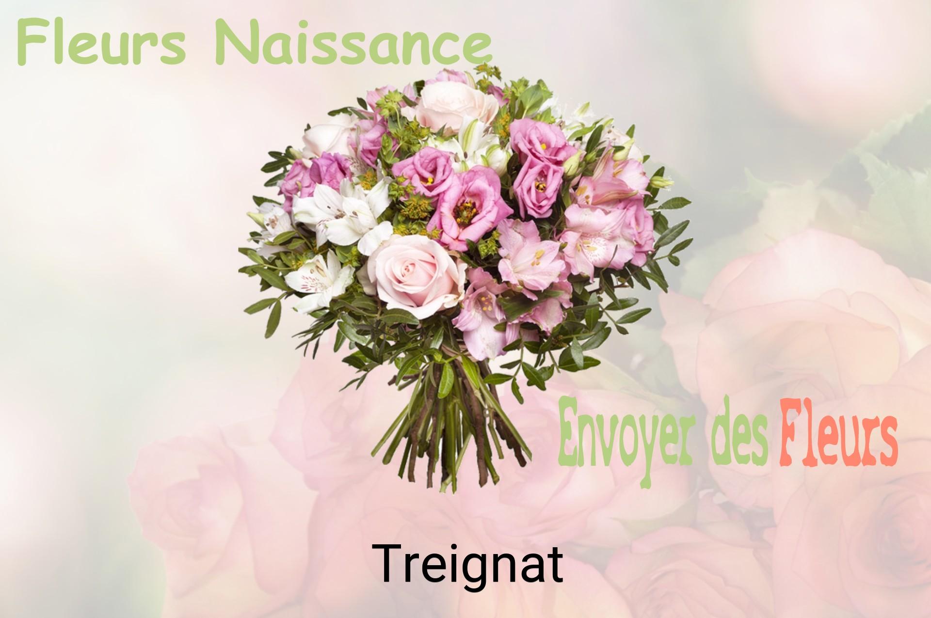 Bouquet de fleurs de naissance livré à Treignat