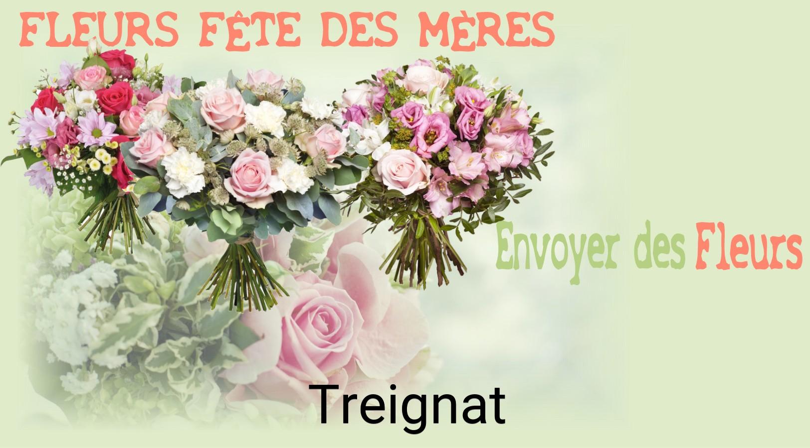 Bouquet de Fête des Mères livré à Treignat
